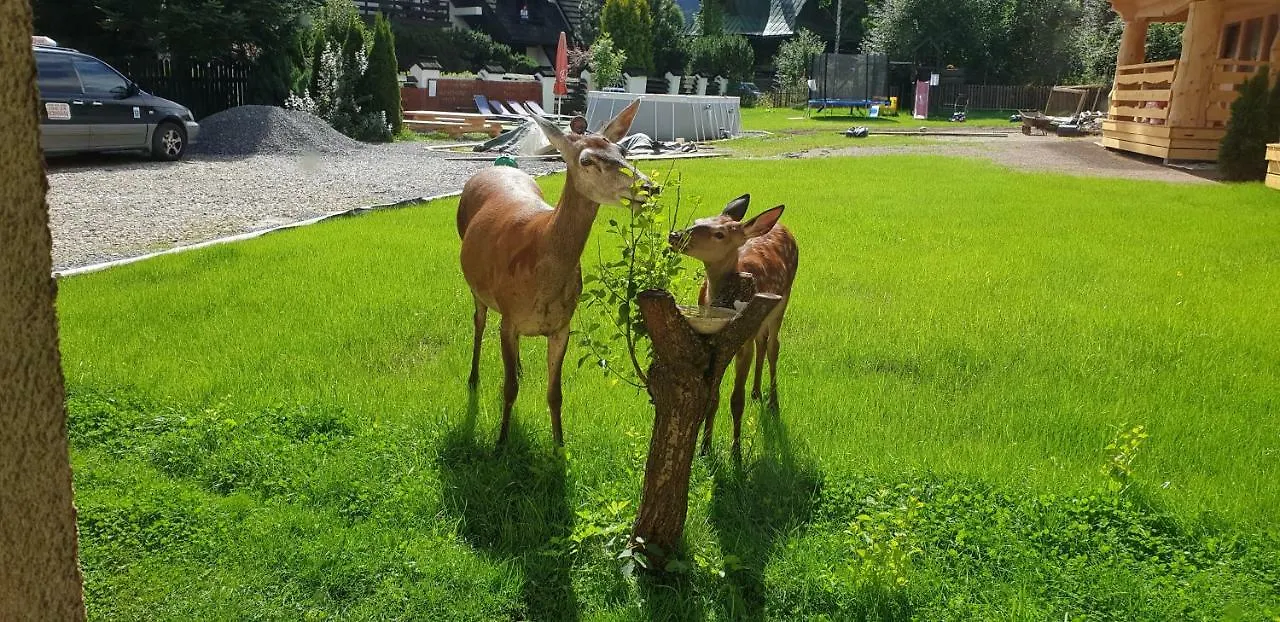 Homestay Willa Anda Zakopane